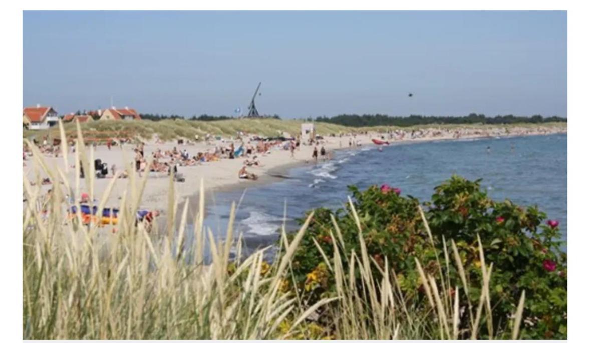 Skon Villalejlighed I Skagen Med Terrasse Og Taet Pa Centrum Εξωτερικό φωτογραφία